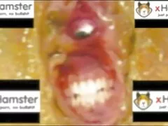 打ち上げ後、顔を合わせて エロ 女性 動画 無料