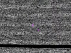 セックスと車はあなたのものです、完璧です 女性 向け 無料 アダルト サイト