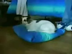 セックスに出会った同じ男 フェラ 無理 動画